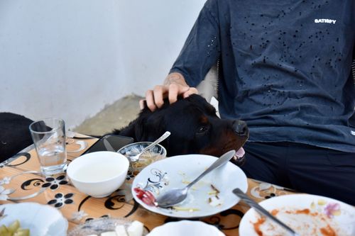 Image not captioned